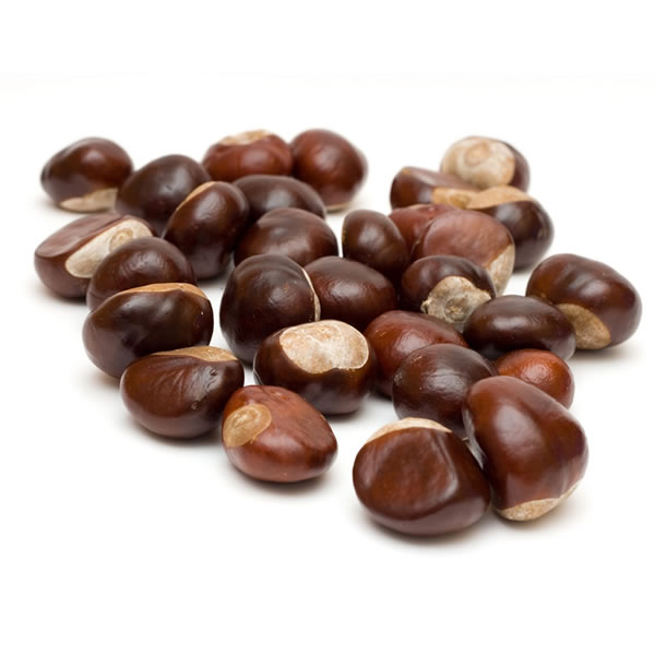 Castane