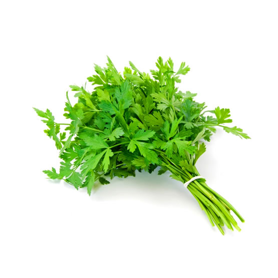 patrunjel_verde Patrunjel Verde