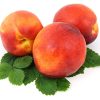 Nectarine