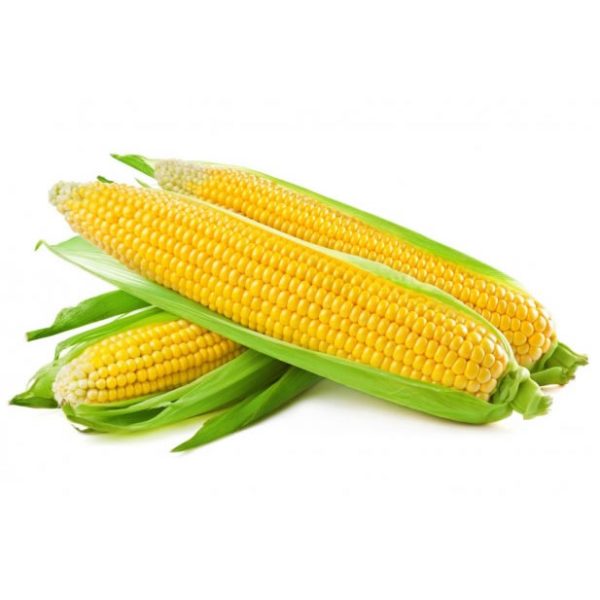 Porumb